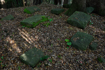 Obraz premium キリシタン墓碑群・ペーが墓