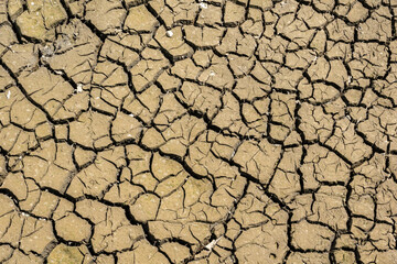 dried crack land