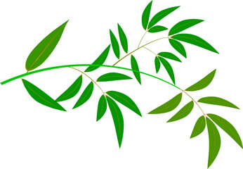 七夕のかわいい笹の葉