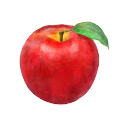 葉付き リンゴ 水彩画風 イラスト