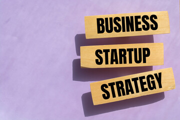 Business Startup Strategy words on wooden blocks put on pink background. New business start management concept.