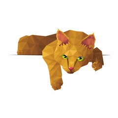 Polygonal vector illustration of a domestic red cat isolated on a white background. Ad space. EPS 8