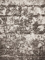 close up grunge wall as a background.