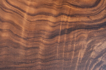 texture of wood