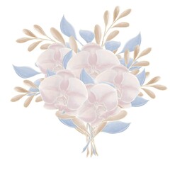 Composition, a bouquet of orchid flowers with beige and blue leaves on a white background