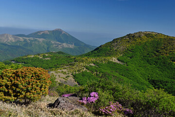 九重山（久住山・中岳）登山「ミヤマキリシマと黒岩山・涌蓋山」