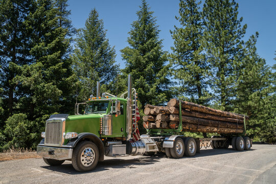 Logging truck loaded with previously burned trees being taken to lumber mill for processing into lumber for the booming housing construction market.