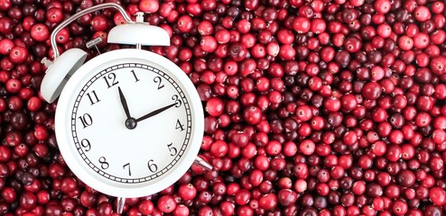 White alarm clock with ripe fresh cranberries as natural, healthy food, berries, time for vitamins background. Selective focus. Banner.	