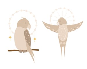 set of modern boho style. Vector hand drawn boho clipart for nursery. Safari animal. Perfect for baby shower, birthday, children's party.  Bohemian elements. Cute parrot clipart