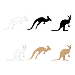 Vector Set of Kangaroo Illustrations