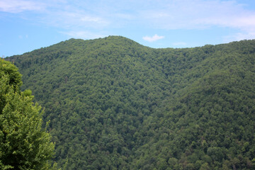 The Caucasus mountains, covered with forest. Russia.