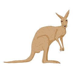 Vector Illustration of Standing Kangaroo
