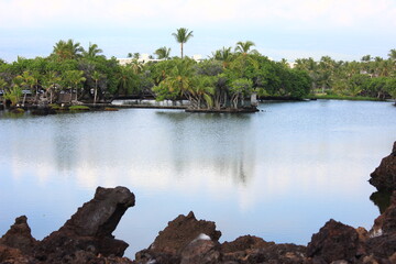 Fototapeta na wymiar ハワイ島(ビッグアイランド）。マイカイワ湾にあるマウナ・ラニには、熱帯を感じさせる池が点在し、エキゾチックな雰囲気を漂わす。