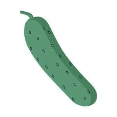 One green cucumber on a white background for use in clip art or web design