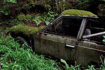 林道脇に捨てられた廃車