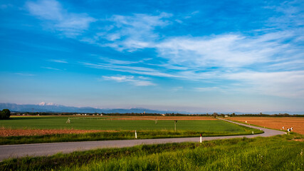 Fototapeta premium Evening in the countryside of Friuli