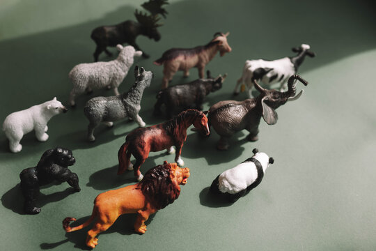 Plastic Toy Realistic Animals Mammals On Gray-green Background With Sun Shadow