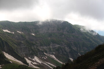 the fog covered the mountains and the forest