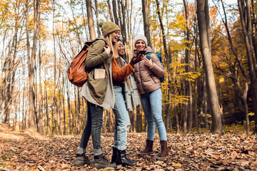 Three female friends enjoying hiking in forest on a beautiful autumn day.	