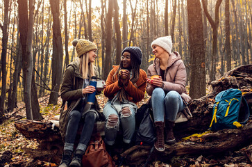 Three female friends resting after hiking in forest sitting on collapsed trunk and drinking tea.
