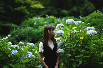 雨の日の紫陽花と女性