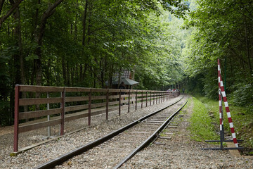 Fototapeta premium railway in the forest, summer in the rainforest