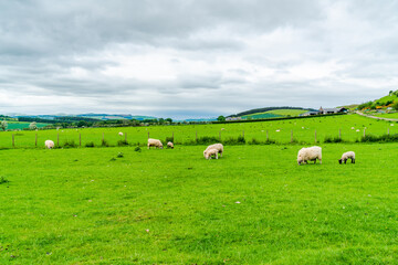 Rural Northumberland, UK
