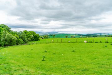 Rural Northumberland, UK