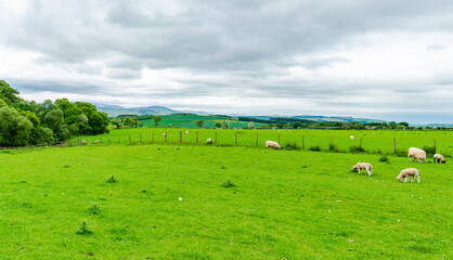 Rural Northumberland, UK