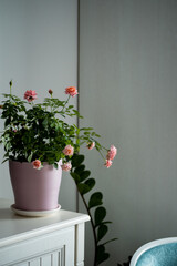 flowers in a vase