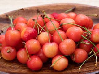 さくらんぼ　佐藤錦