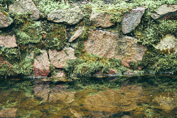 Old masonry covered with green moss