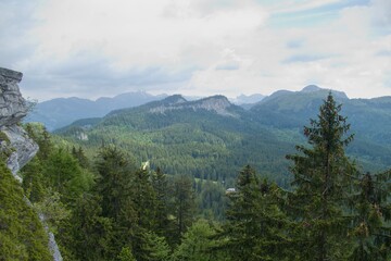 Fototapeta na wymiar beautiful summer nature in austrian alps