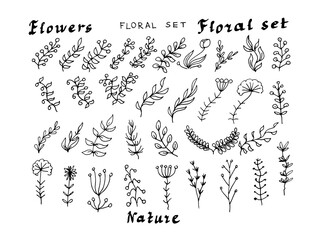 Obraz premium Flower set nature plants twigs florets vector. Print textile vintage graphic hand-drawn illustration. Botany floral clipart 