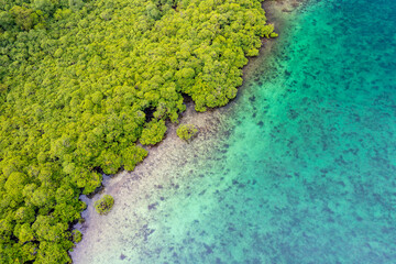 Tropical Island Aerial View. Wild coastline lush exotic green jungle. Red Frog Beach in Bastimentos...