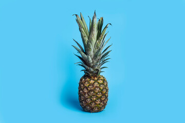 Vertical picture of fresh ripe pineapple on a blue background