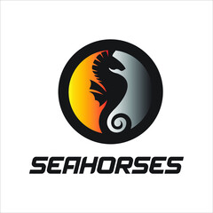 sea horses 