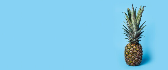 Vertical picture of fresh ripe pineapple on a blue background. Banner