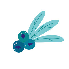 Blueberry berries. Summer fruits for healthy lifestyle. Organic fruit. Designed to create package of health, beauty natural products. Vector cartoon illustration.