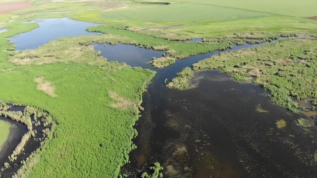 Kalmykia, a lake in the steppe. Waterfowl habitat and nesting areas.