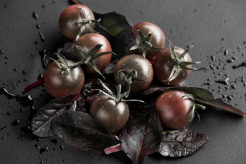 dark tomatoes and lettuce foliage, drops of moisture on vegetables, black background..