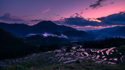丸山千枚田の夕景