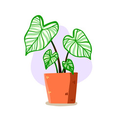 Potted houseplant vector, an illustration of  a White Caladium, indoor plant, for house decoration and the garden. Plant isolated in white background in cute cartoon style.