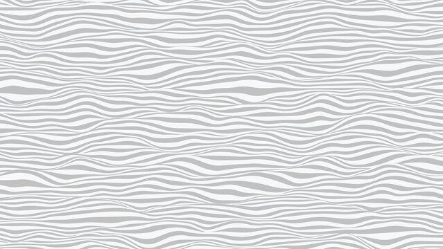 Wavy striped surface. Grey and white lines with ripples effect. Vector background. © Tatyana