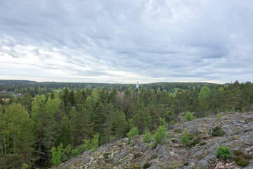 Fototapeta na wymiar Forestry scenery from a cliff