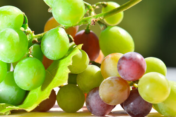 fresh green grapes, closeup, transparent berries in the sunlight.