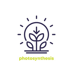 photosynthesis line icon with plant and sun - obrazy, fototapety, plakaty
