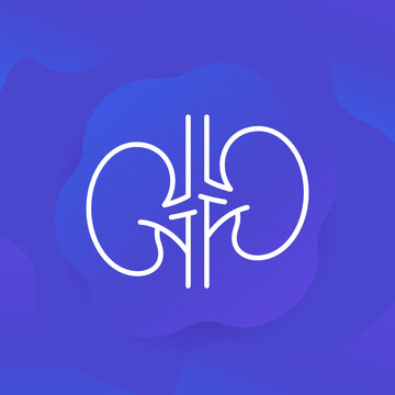 Kidneys And Nephrology Line Icon