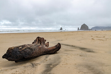 Driftwood on Cannon Beach, Oregon with the Haystacks in the background