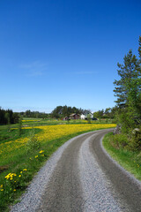 Gravel road in the countryside